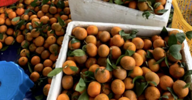 Xăng dầu tăng chóng mặt, dân buôn online đồng loạt xin thêm 5.000 đồng/đơn