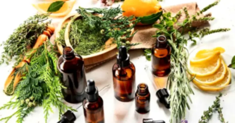 Xu hướng mỹ phẩm thuần chay và giải pháp làm sạch da khoa học trong môi trường ô nhiễm