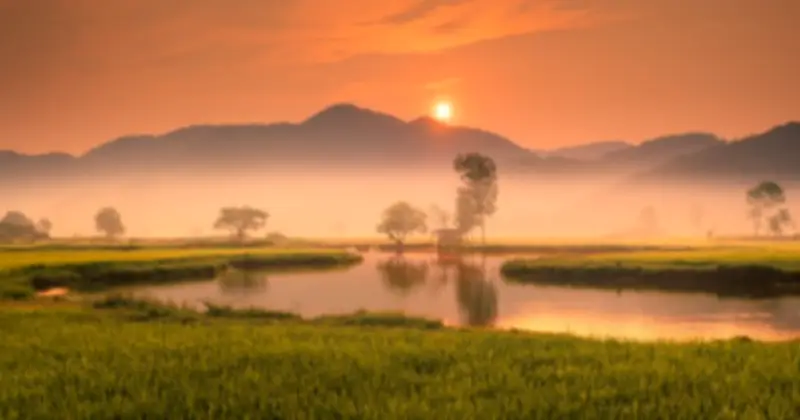 Xuân phân chính thức đến: Khám phá điểm đặc biệt về thiên văn và ý nghĩa văn hóa