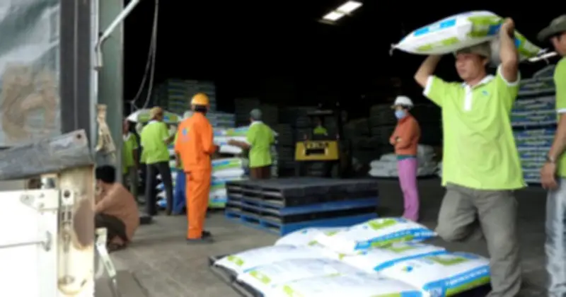 Xung đột Trung Đông đe dọa chuỗi cung ứng, giá thức ăn chăn nuôi Việt Nam có thể tăng 10%