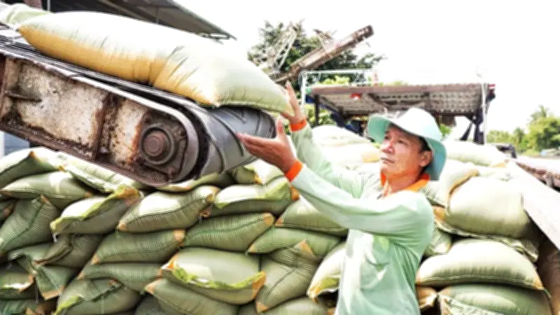 Xung đột Trung Đông đe dọa xuất khẩu nông sản Việt Nam, thiệt hại có thể lên tới 8 tỷ USD