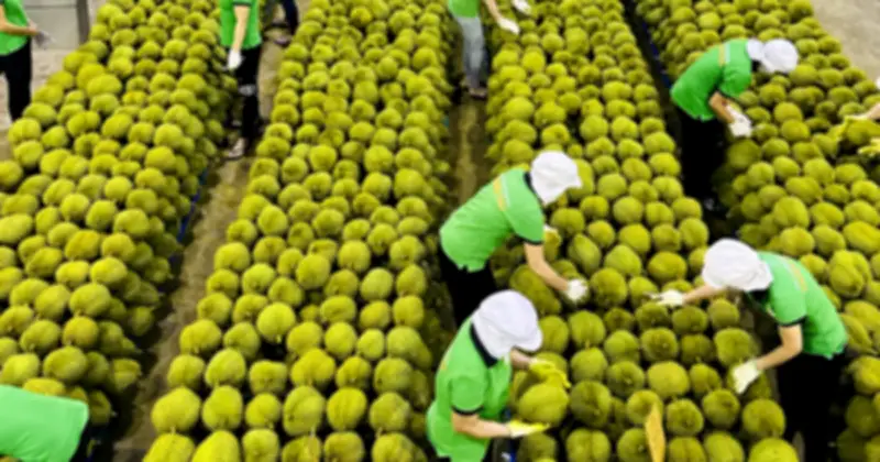 Xung Đột Trung Đông: Thách Thức Vận Chuyển, Cơ Hội Xuất Khẩu Cho Doanh Nghiệp Việt