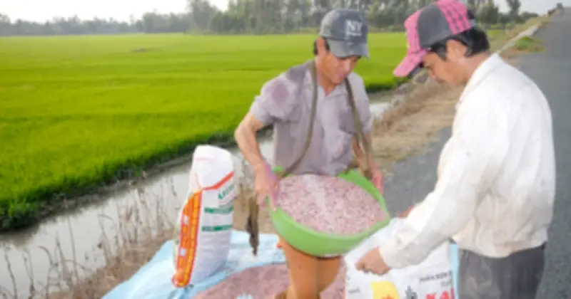 Xung đột Trung Đông đẩy giá phân bón toàn cầu tăng vọt, Việt Nam đối mặt rủi ro