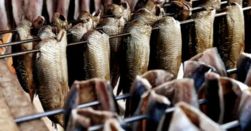 Xuất khẩu cá tra Việt Nam khởi sắc đầu năm 2026, tăng 59% đạt 212 triệu USD