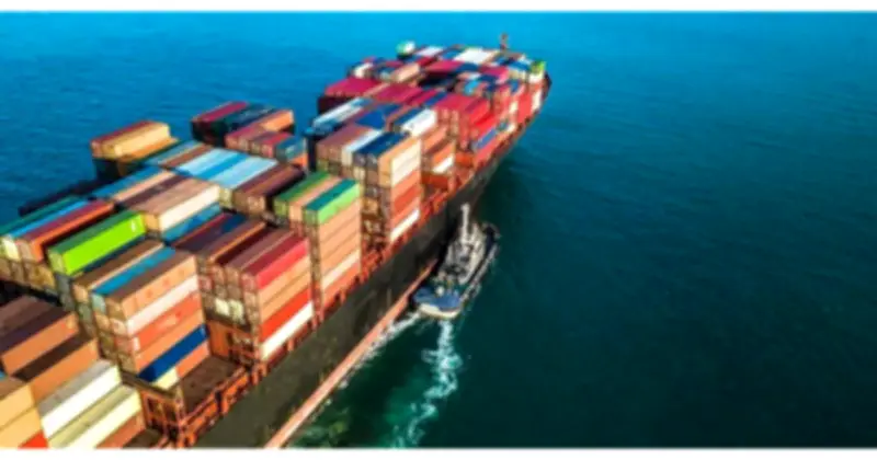 Xuất khẩu hạt tiêu Việt Nam tháng 2 sụt giảm, nhưng cả năm 2026 vẫn lạc quan