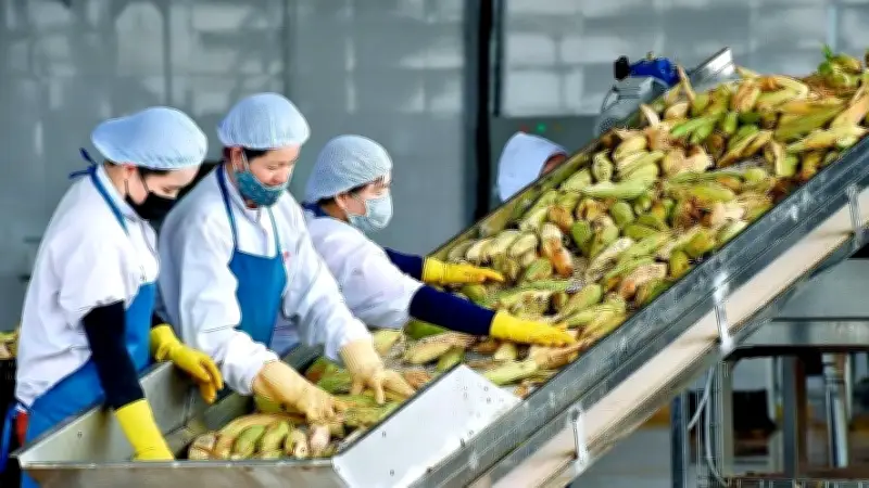 Xuất khẩu nông lâm thủy sản tăng mạnh đầu năm 2026, đối mặt thách thức địa chính trị