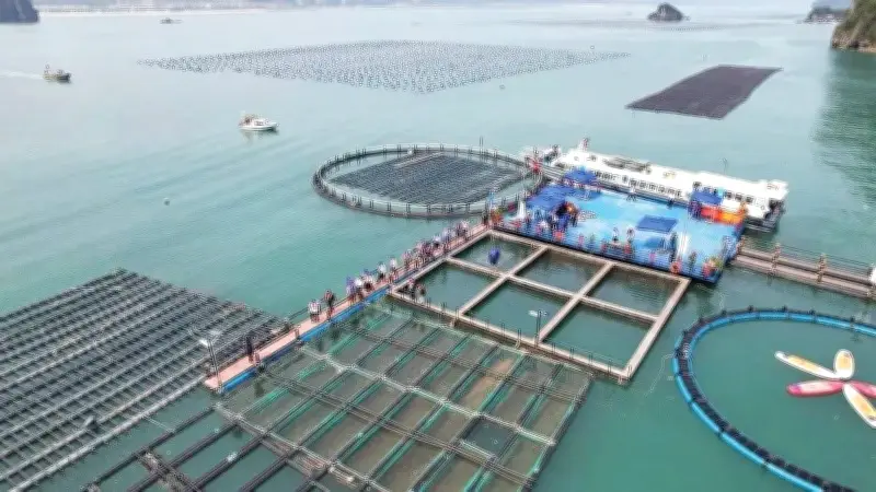 Xuất khẩu thủy sản khởi sắc đầu năm 2026 với cá tra, tôm dẫn đầu tăng trưởng