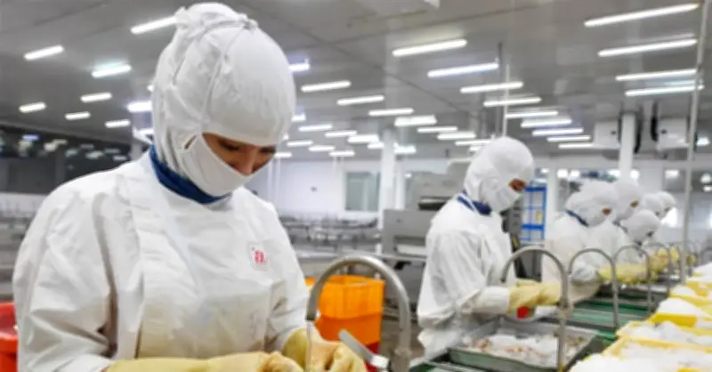 Xuất khẩu tôm Việt Nam đón tin vui từ Mỹ và Trung Quốc sau kỷ lục 4,6 tỷ USD