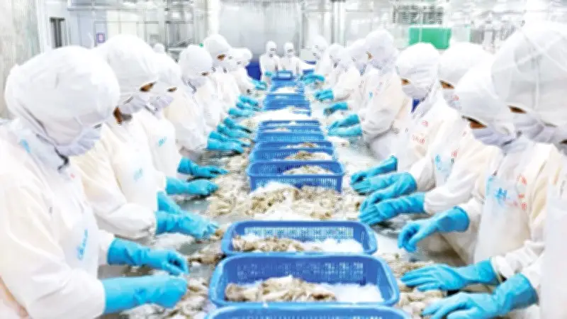 Xuất khẩu Việt Nam đối mặt thách thức kép: Rào cản kỹ thuật và xung đột Trung Đông