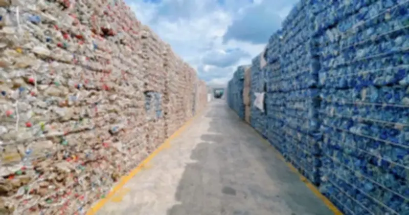 Xuất khẩu vào EU gặp khó vì quy định bao bì mới, học sinh 'né' khoa học tự nhiên