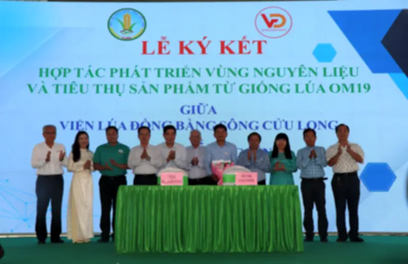 Xây dựng thương hiệu gạo Cần Thơ từ các giống lúa đặc sản mới