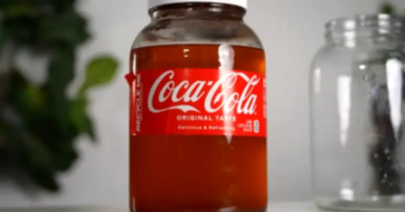 Youtuber biến Coca-Cola thành rượu mật ong, hương vị caramel táo quế độc đáo