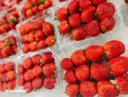 9 Loại Rau Quả Chứa Nhiều Dư Lượng Thuốc Trừ Sâu Nhất Cần Cảnh Giác