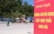 Bộ Y tế chỉ đạo triển khai Nghị định 46 về an toàn thực phẩm nhập khẩu