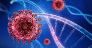Bộ Y tế theo dõi sát biến thể SARS-CoV-2 BA.3.2, WHO đánh giá nguy cơ thấp