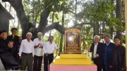 Bắc Ninh công nhận 12 cây cổ thụ là Cây Di sản Việt Nam, gắn liền lịch sử địa phương