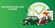 Bảo Hiểm Bắt Buộc TNDS: Chìa Khóa An Toàn Giao Thông Từ Singapore Đến Việt Nam