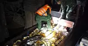 Bắt giữ nghi phạm trộm dầu tàu cá tại Vĩnh Long, thu giữ 900 lít dầu