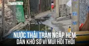 Cá chết hàng loạt, người dân kêu cứu vì nước thải bủa vây, bốc mùi hôi thối suốt nhiều tháng