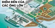 Cà Mau định hình không gian kinh tế mới với loạt dự án tỷ đô từ T&T Group, Vingroup