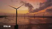 Cà Mau đẩy nhanh tiến độ dự án điện gió Bạc Liêu giai đoạn 3
