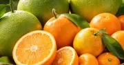 Cam, Quýt, Bưởi: Bộ Ba Trái Cây Giàu Vitamin C Tăng Cường Miễn Dịch Hiệu Quả