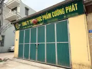 Camera giăng kín căn bếp cung cấp thịt lợn nhiễm bệnh vào trường học Hà Nội