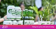 Carlsberg Lỗ Hơn 800 Tỷ Đồng Tại Việt Nam Dù Doanh Thu Gần 16.000 Tỷ