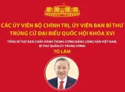 Các Ủy viên Bộ Chính trị, Ủy viên Ban Bí thư trúng cử Đại biểu Quốc hội khóa XVI