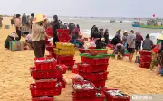 Chợ cá Nhân Trạch: Điểm hẹn sáng sớm với hải sản tươi rói ngay bên chân sóng