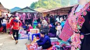 Chợ Phiên Pà Cò: Sắc Màu Văn Hóa H'Mông Giữa Núi Rừng Tây Bắc