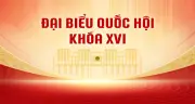 Chân dung 500 đại biểu Quốc hội khóa XVI: Đa dạng, trẻ hóa và chuyên môn cao