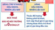 Chính sách giảm thuế xăng dầu được gia hạn đến ngày 15/4/2026