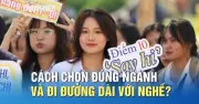 Chuyên gia cảnh báo: Tốt nghiệp có việc làm chưa đủ, cần chọn đúng ngành và bền vững