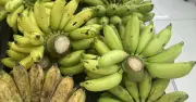 Chuyên gia tiết lộ sự thay đổi của cơ thể khi ăn chuối mỗi ngày trong một tuần