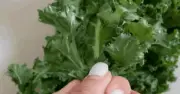 Cải Kale: 'Vua Rau Xanh' Với Lợi Ích Vàng Cho Làn Da Và Sức Khỏe