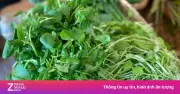 Cải Xoong: Từ Cỏ Dại Đến Thần Dược Bảo Vệ Gan Trong Bữa Ăn Hàng Ngày
