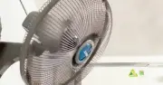 Cảnh báo: Bật quạt ngay sau khi cất mùa đông có thể gây hư hỏng và nguy hiểm