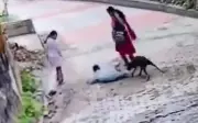 Cậu bé Ấn Độ bị chó hoang tấn công trên đường vắng, clip gây lo ngại trên mạng xã hội