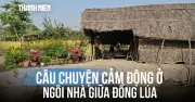 Câu chuyện cảm động về ngôi nhà giữa đồng lúa đẹp như tranh ở Hà Tĩnh