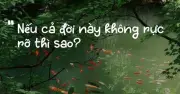 Câu hỏi 'Nếu cả đời này không rực rỡ thì sao?' gây bão mạng xã hội, khơi dậy suy tư sâu sắc