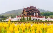 Cung Đường Chiang Mai - Lamphun - Lampang: Hành Trình Tái Tạo Năng Lượng Ở Miền Bắc Thái Lan