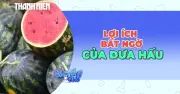Dưa Hấu: Nguồn Cấp Nước Tuyệt Vời và Lợi Ích Kiểm Soát Cân Nặng