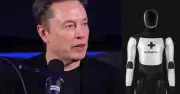 Elon Musk: Robot Optimus Thay Thế Bác Sĩ Phẫu Thuật Trong 3 Năm, Giới Y Khoa Phản Đối