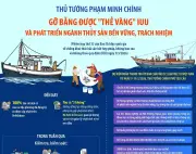 Gỗ bần được thế vàng, hỗ trợ phát triển ngành thủy sản bền vững và trách nhiệm