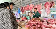 Giá heo hơi tạm chững lại sau chuỗi giảm kéo dài, giao dịch dao động theo vùng
