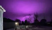 Giải Mã Hiện Tượng Ánh Sáng Tím Bao Phủ Các Cánh Rừng Ở Mỹ