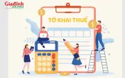 Hộ Kinh Doanh Nhiều Địa Điểm: Hướng Dẫn Chi Tiết Cách Đăng Ký Thuế