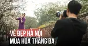 Hà Nội Tháng Ba: Đi Đâu Cũng Gặp Hoa Nở Rực Rỡ Khắp Phố Phường