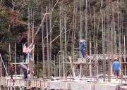 Hệ thống trường phổ thông cả nước tiến tới chuẩn hóa từng bước